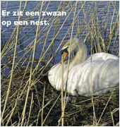 handboekbinden kinderboek Naar Friesland - foto (3)